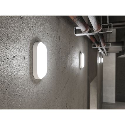 LED spoljašnja zidna svetiljka LED/6W/230V IP54, bela