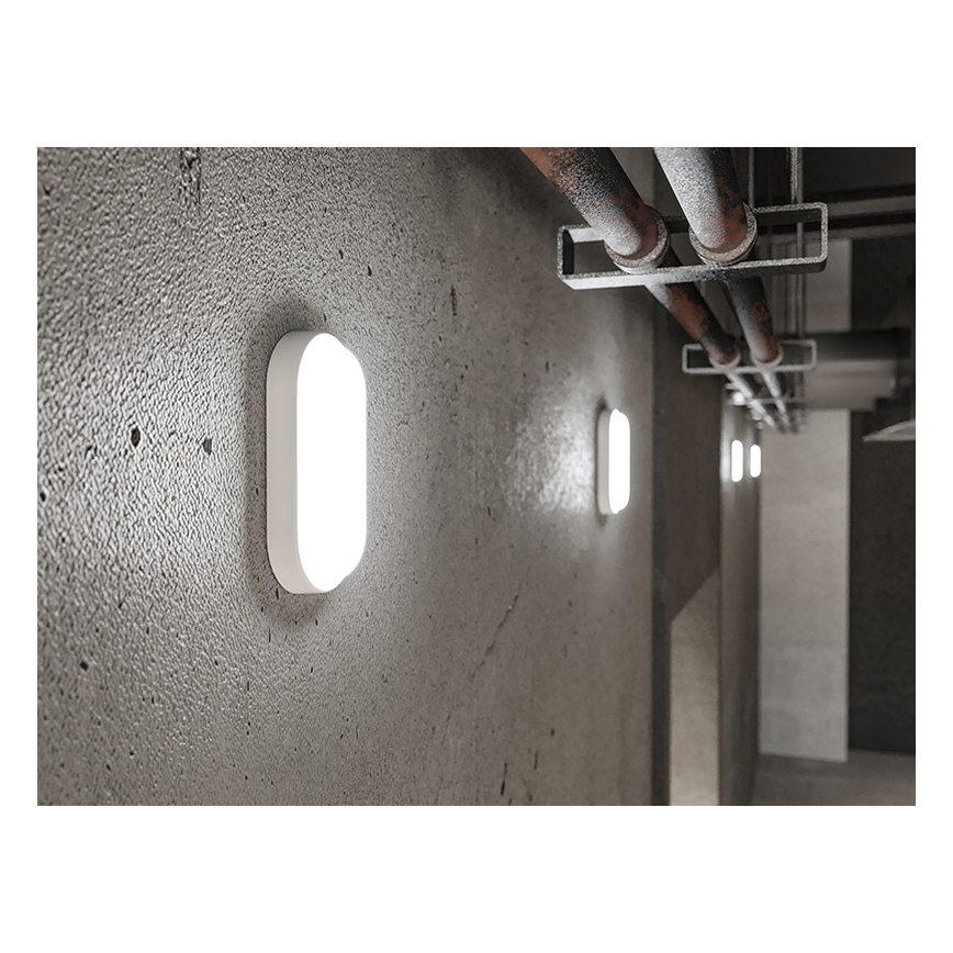 LED spoljašnja zidna svetiljka LED/6W/230V IP54, bela