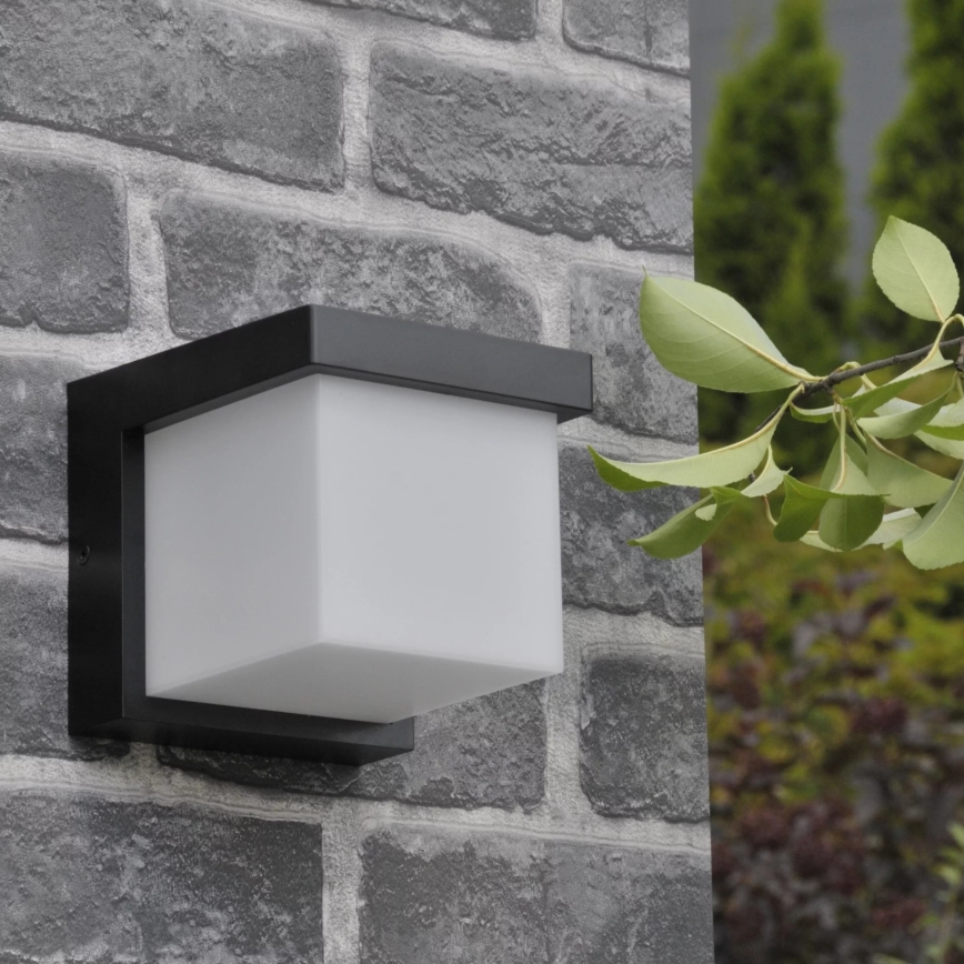 LED spoljašnja zidna svetiljka MORGAN LED/10W/230V IP54