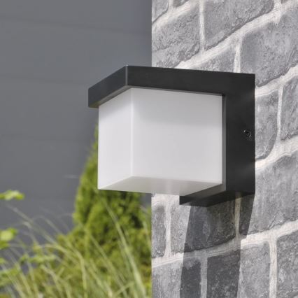 LED spoljašnja zidna svetiljka MORGAN LED/10W/230V IP54