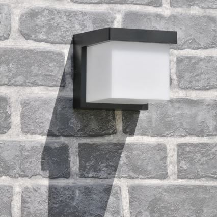 LED spoljašnja zidna svetiljka MORGAN LED/10W/230V IP54