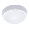 LED spoljašnje plafonsko svetlo 30W/230V IP65
