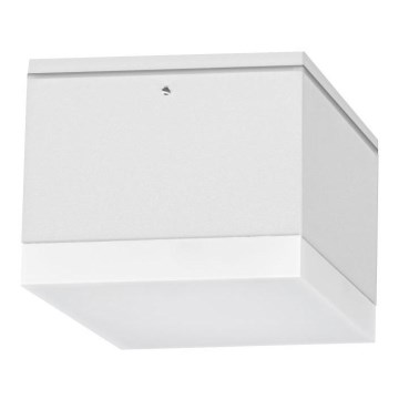 LED spoljašnje plafonsko svetlo BRUNO LED/10W/230V IP54