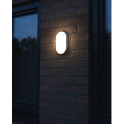 LED spoljašnje plafonsko svetlo LED/8W/230V 4200K IP64 belo