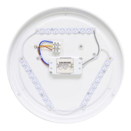 LED spoljašnje plafonsko svetlo NELA LED/20W/230V IP44