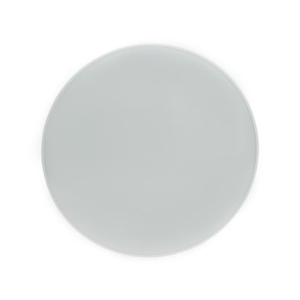 LED spoljašnje plafonsko svetlo NYMPHEA LED/32W/230V IP54 3000K