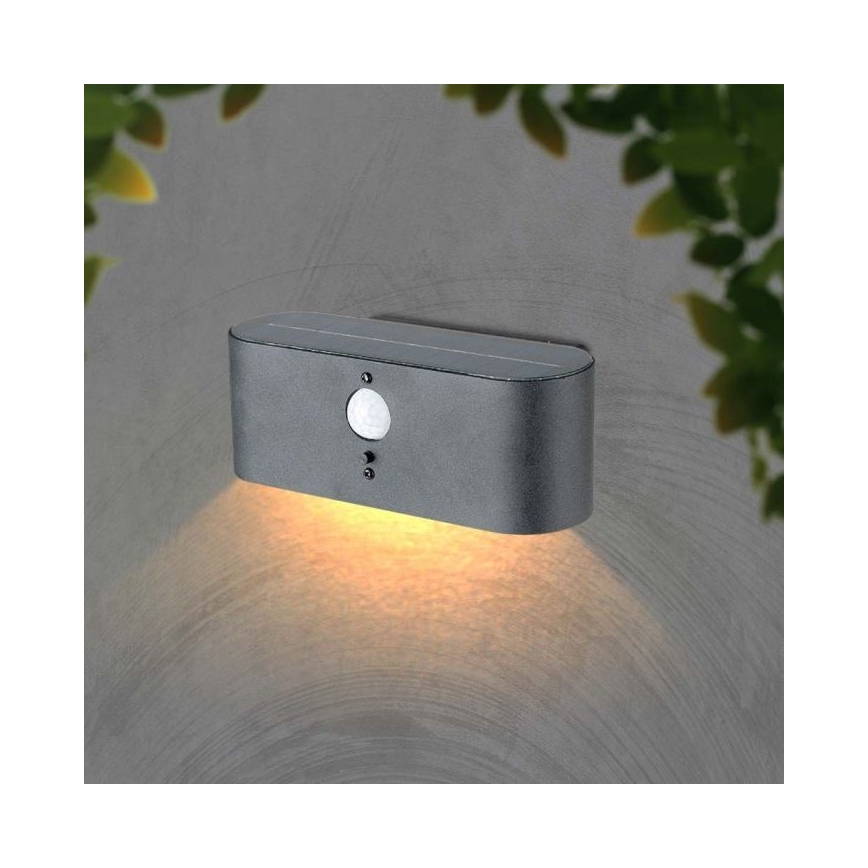 LED spoljašnje solarno zidno svetlo sa senzorom LED/2,5W/3,7V 3000K IP54 2000 mAh
