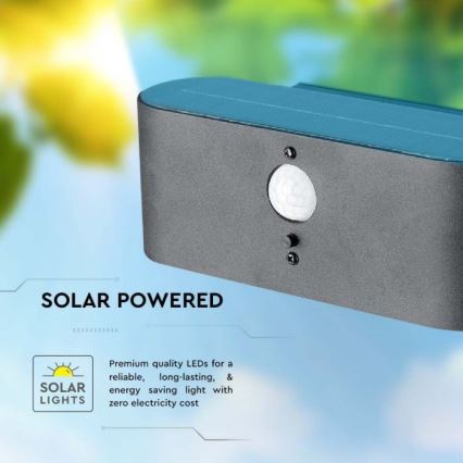 LED spoljašnje solarno zidno svetlo sa senzorom LED/2,5W/3,7V 3000K IP54 2000 mAh
