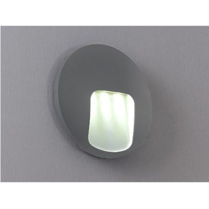 LED spoljašnje zidno svetlo DACU LED/3W/230V IP54, sivo