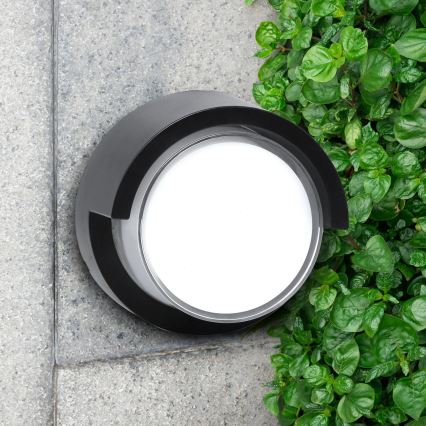 LED spoljašnje zidno svetlo ESSEN LED/10W/230V IP44 crno