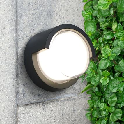 LED spoljašnje zidno svetlo ESSEN LED/10W/230V IP44 crno