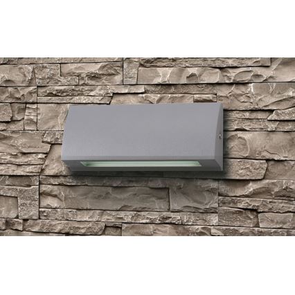 LED spoljašnje zidno svetlo LED/10W/230V IP54
