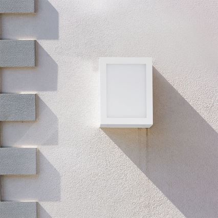 LED spoljašnje zidno svetlo LED/12W/230V 3000K IP65 bela