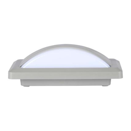 LED spoljašnje zidno svetlo LED/12W/230V 6400K IP65