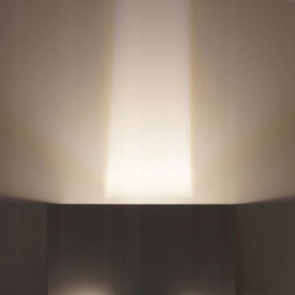 LED Spoljašnje zidno svetlo LED/12W/230V IP54 belo