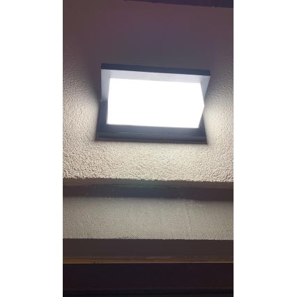 LED spoljašnje zidno svetlo LED/12W/230V IP54 crno