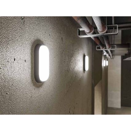 LED spoljašnje zidno svetlo LED/12W/230V IP54 crno