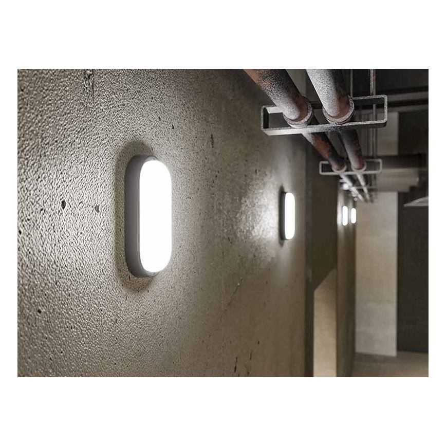 LED spoljašnje zidno svetlo LED/12W/230V IP54 crno