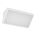 LED spoljašnje zidno svetlo LED/20W/230V 4000K IP65 belo
