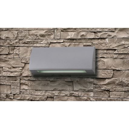LED spoljašnje zidno svetlo LED/3,5W/230V IP54