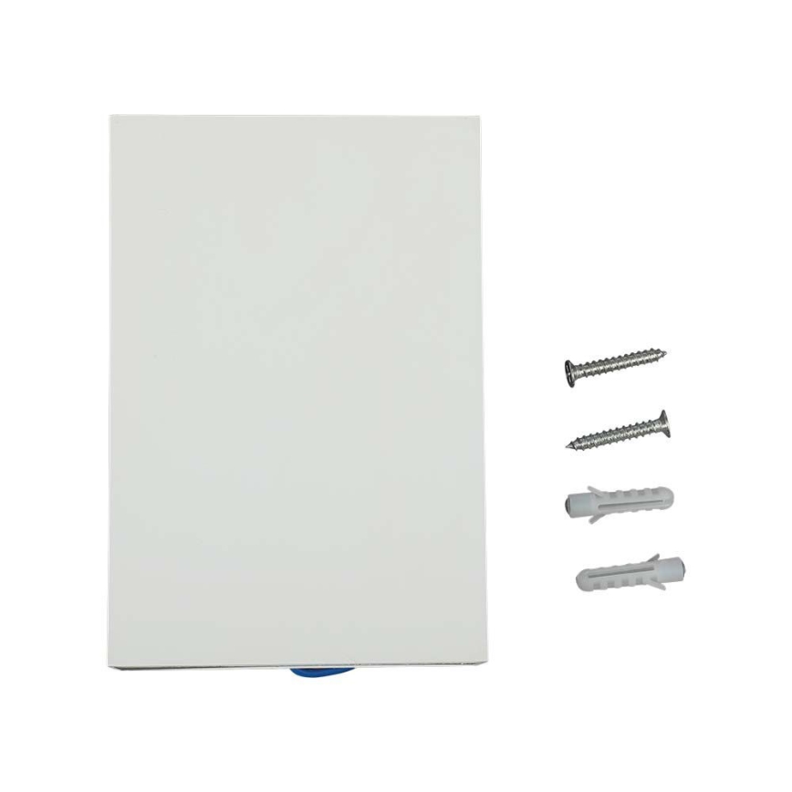 LED spoljašnje zidno svetlo LED/4W/230V 6400K IP65 belo