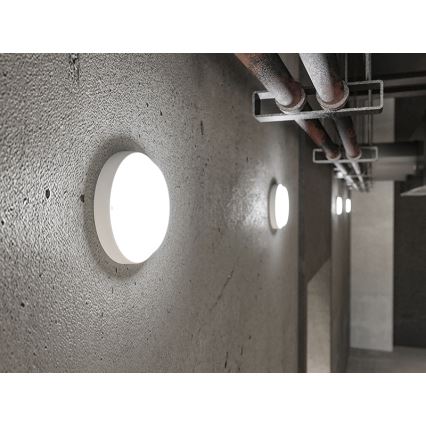 LED spoljašnje zidno svetlo LED/9W/230V IP54 belo