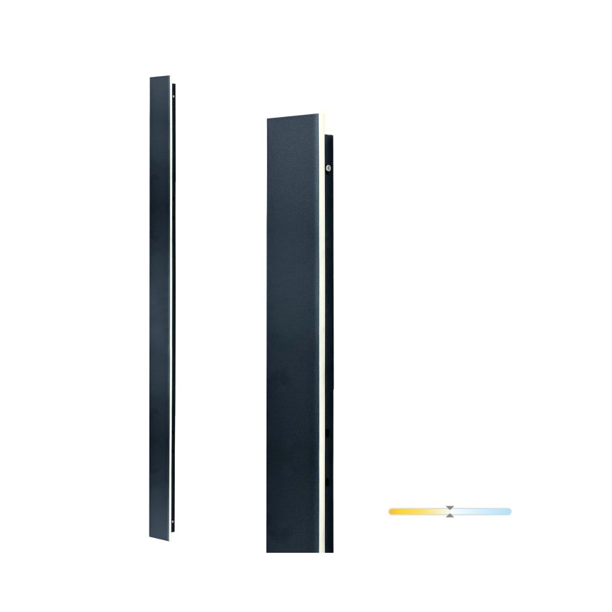 LED spoljašnje zidno svetlo MIRANA LED/25W/230V 4000K IP44 120 cm crna