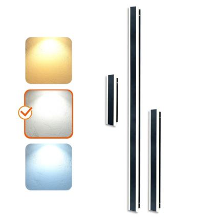 LED spoljašnje zidno svetlo MIRANA S LED/12W/230V 4000K IP44 60 cm crna