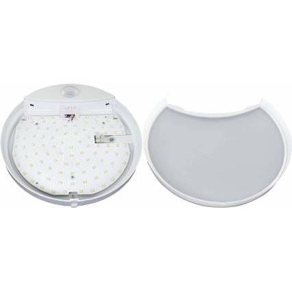 LED spoljašnje zidno svetlo sa senzorom HIBIS LED/15W/230V IP44