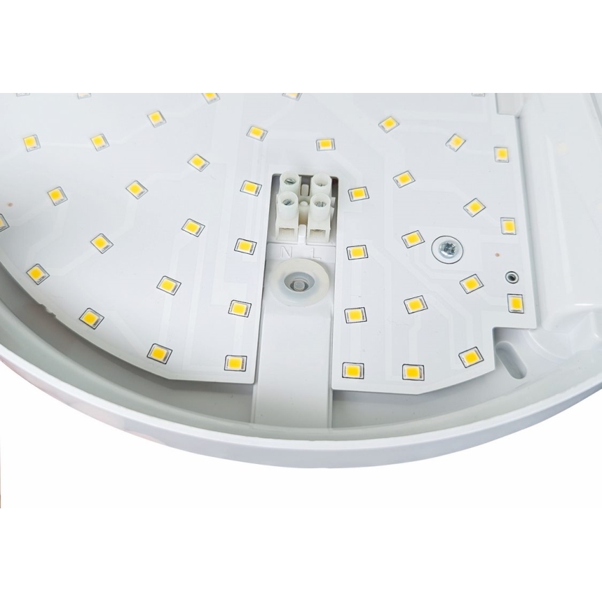 LED spoljašnje zidno svetlo sa senzorom HIBIS LED/15W/230V IP44