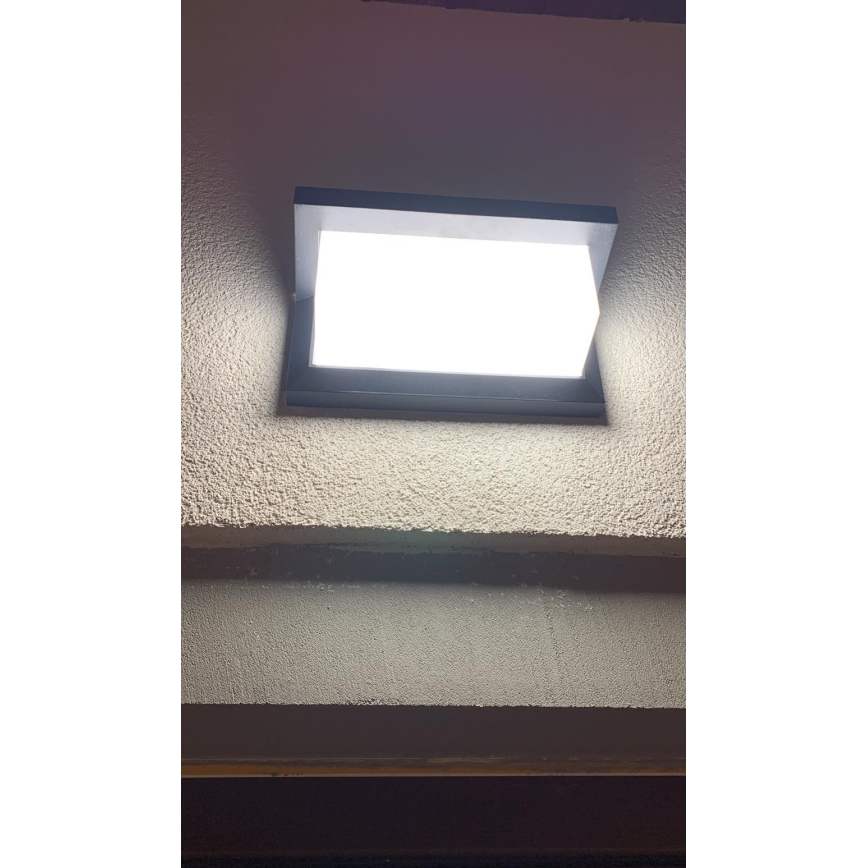 LED spoljašnje zidno svetlo sa senzorom LED/12W/230V IP54 crno