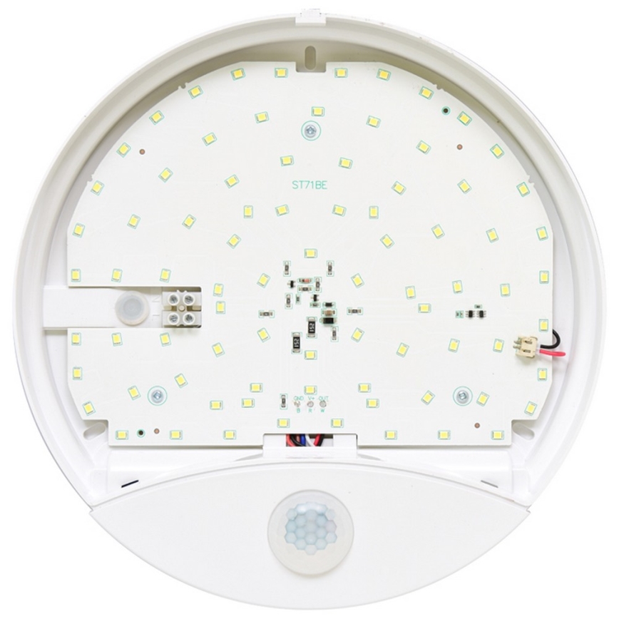 LED spoljašnje zidno svetlo sa senzorom LORA LED/15W/230V IP44