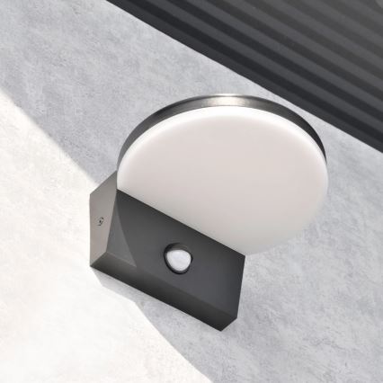 LED spoljašnje zidno svetlo sa senzorom TESA LED/10W/230V IP54 crno