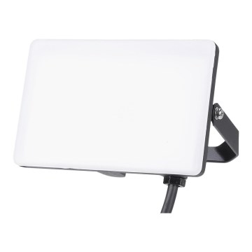 LED spoljašnji reflektor 30W/230V 5000K IP65