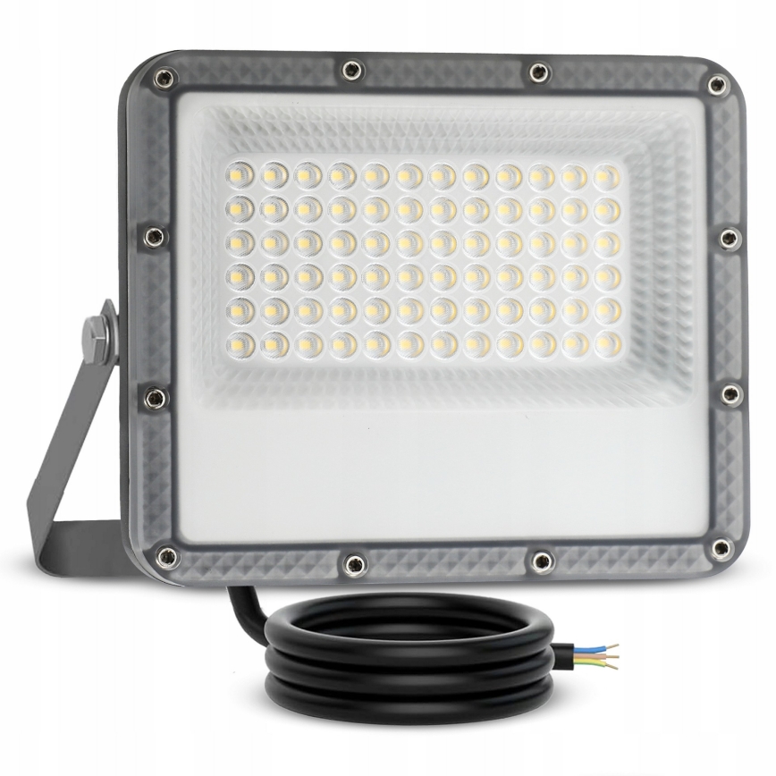 LED spoljašnji reflektor 50W/230V 4500K IP65 siva