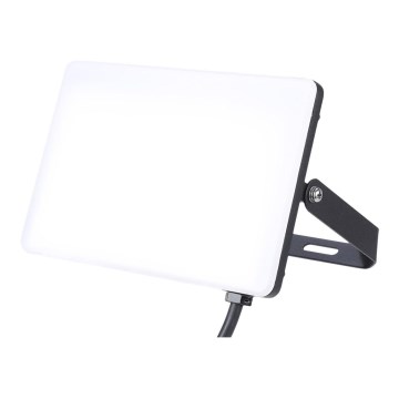 LED spoljašnji reflektor 50W/230V 5000K IP65