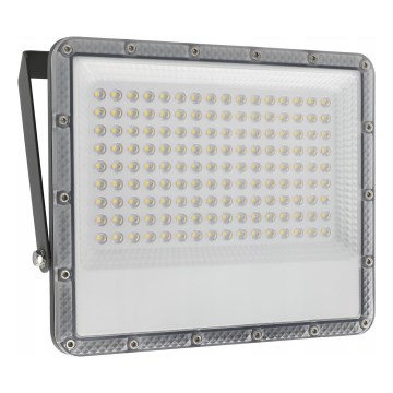 LED spoljašnji reflektor LED/100W/230V 4500K IP65 siva