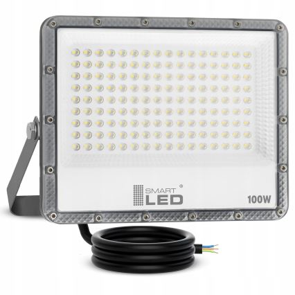 LED spoljašnji reflektor LED/100W/230V 4500K IP65 siva