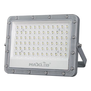 LED spoljašnji reflektor LED/50W/230V 5000K IP65 siva