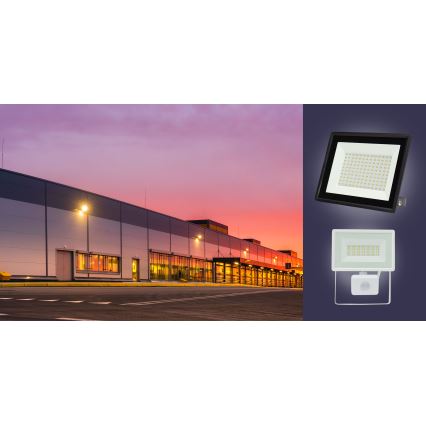 LED spoljašnji reflektor NOCTIS LUX 3 LED/30W/230V 3000K IP65 bela