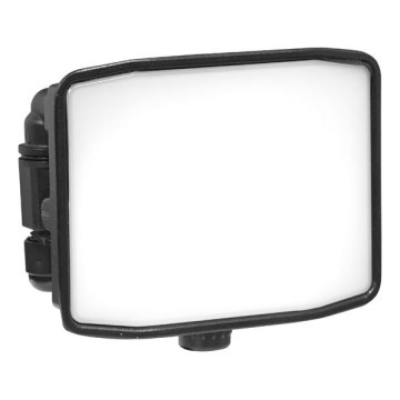 LED spoljašnji reflektor ZIPO LED/10W/230V 5000K IP65 crni