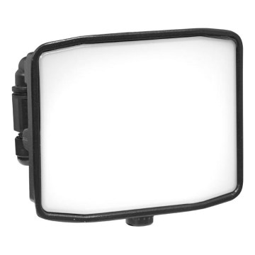 LED spoljašnji reflektor ZIPO LED/30W/230V 5000K IP65 crni