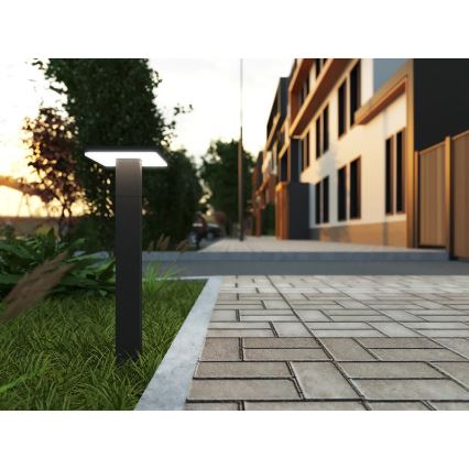 LED spoljna lampa BARI LED/10W/230V 4000K 60 cm IP54 antracit