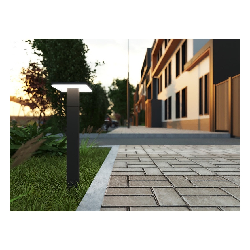 LED spoljna lampa BARI LED/10W/230V 4000K 60 cm IP54 antracit