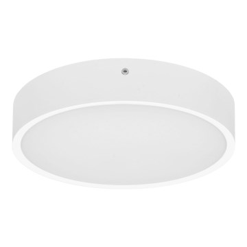 LED spoljna plafonjera MARTIN LED/15W/230V 3000/4000K Ø 30 cm IP65 bela