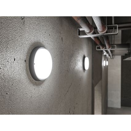 LED spoljna zidna svetiljka LED/18W/230V IP54 crna