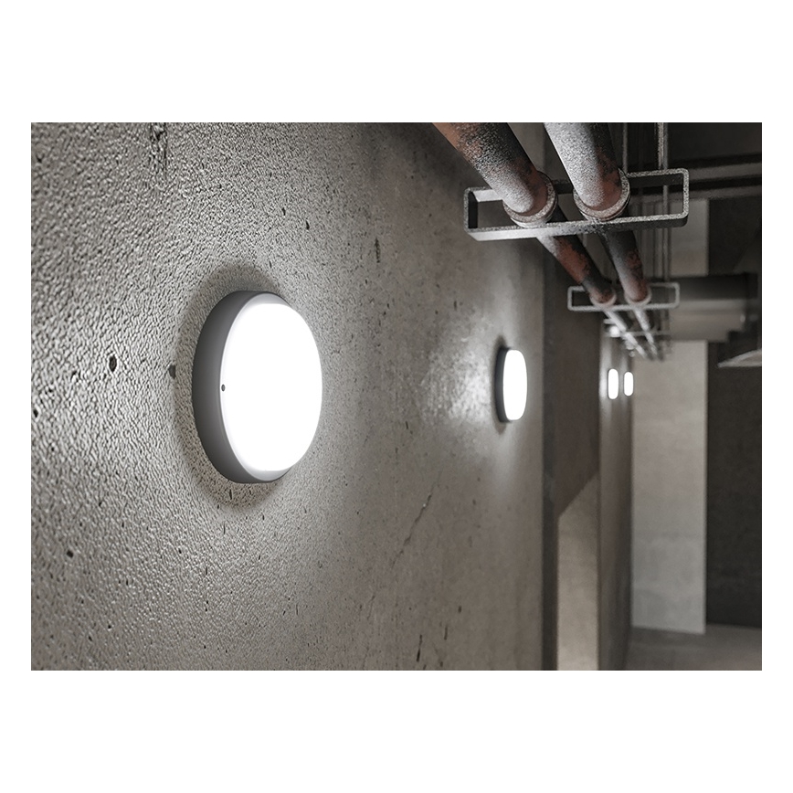 LED spoljna zidna svetiljka LED/18W/230V IP54 crna