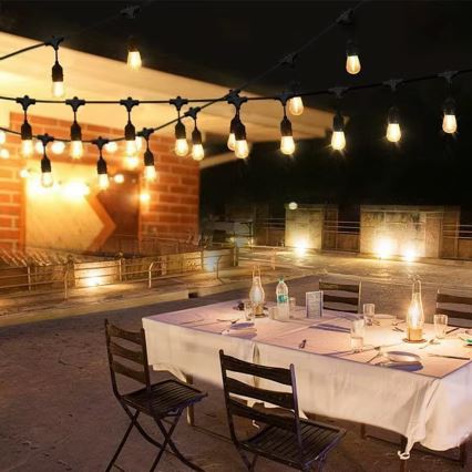 LED spoljni dekorativni lanac 10xE27/1W/230V 10 m IP65 crni