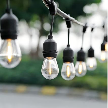 LED spoljni dekorativni lanac 10xE27/1W/230V 10 m IP65 crni