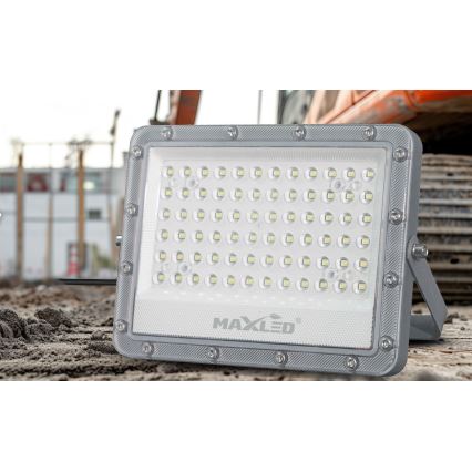 LED spoljni reflektor LED/100W/230V 5000K IP65 siva